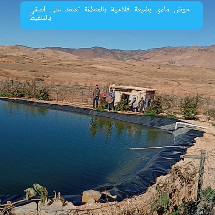        ثراطشا  الشبكة  TRATCHA  